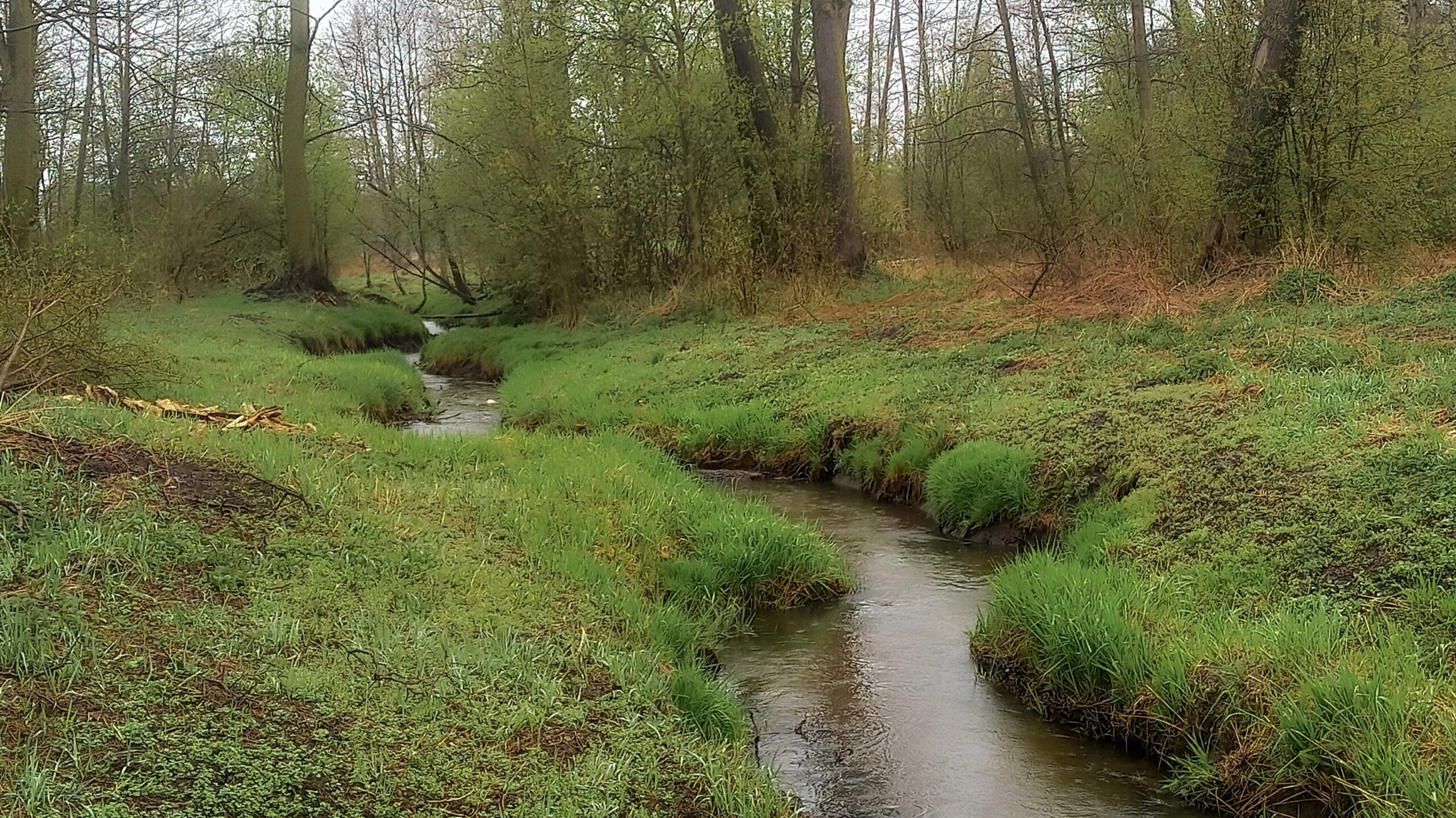 Dolina Sokołówki. Dzika Łódź