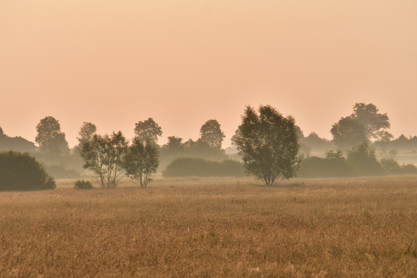 Płynę, płynę na fali wiatru