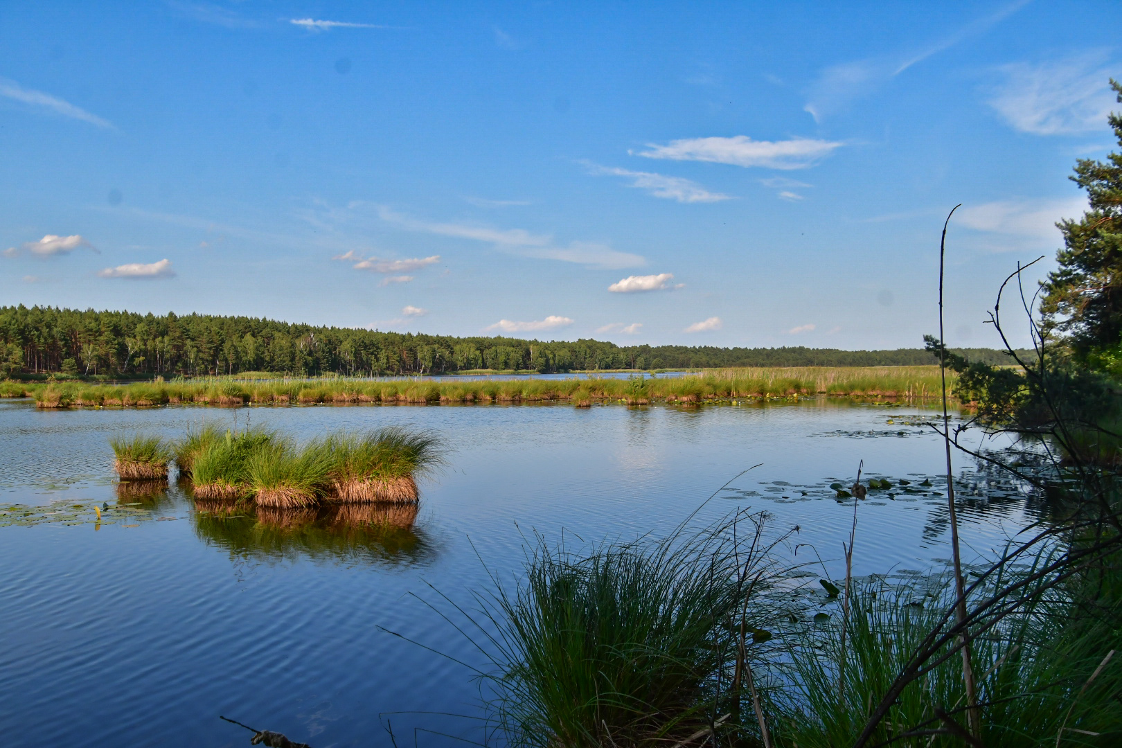 Uroczysko Święte Ługi (zajawka)