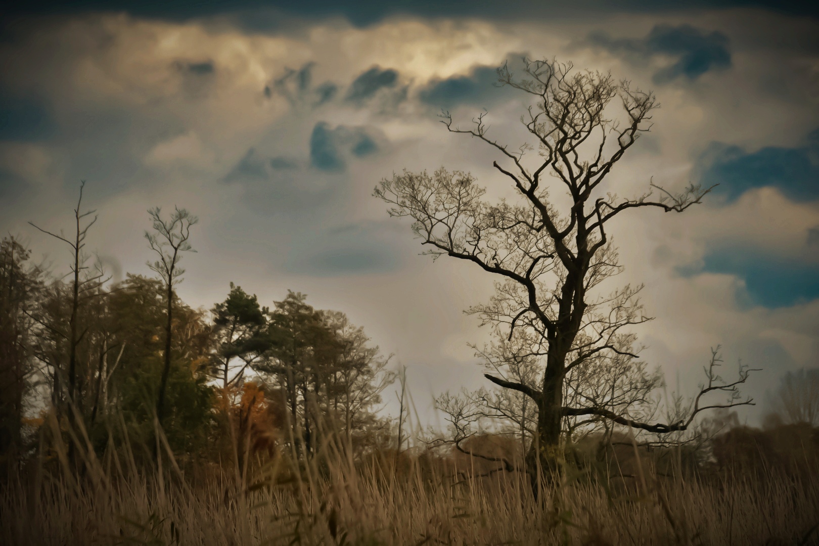 Ermia. Opowieść o&nbsp;tym, gdy&nbsp;coś się zmienia (Odc. 2)