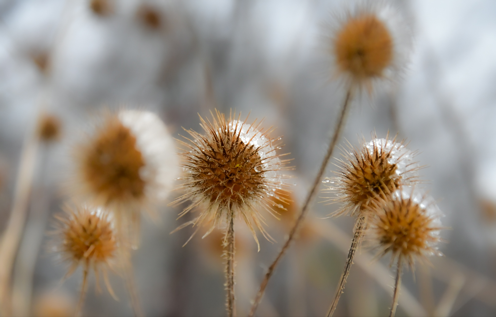 Zegar tyka w rytmie Ziemi