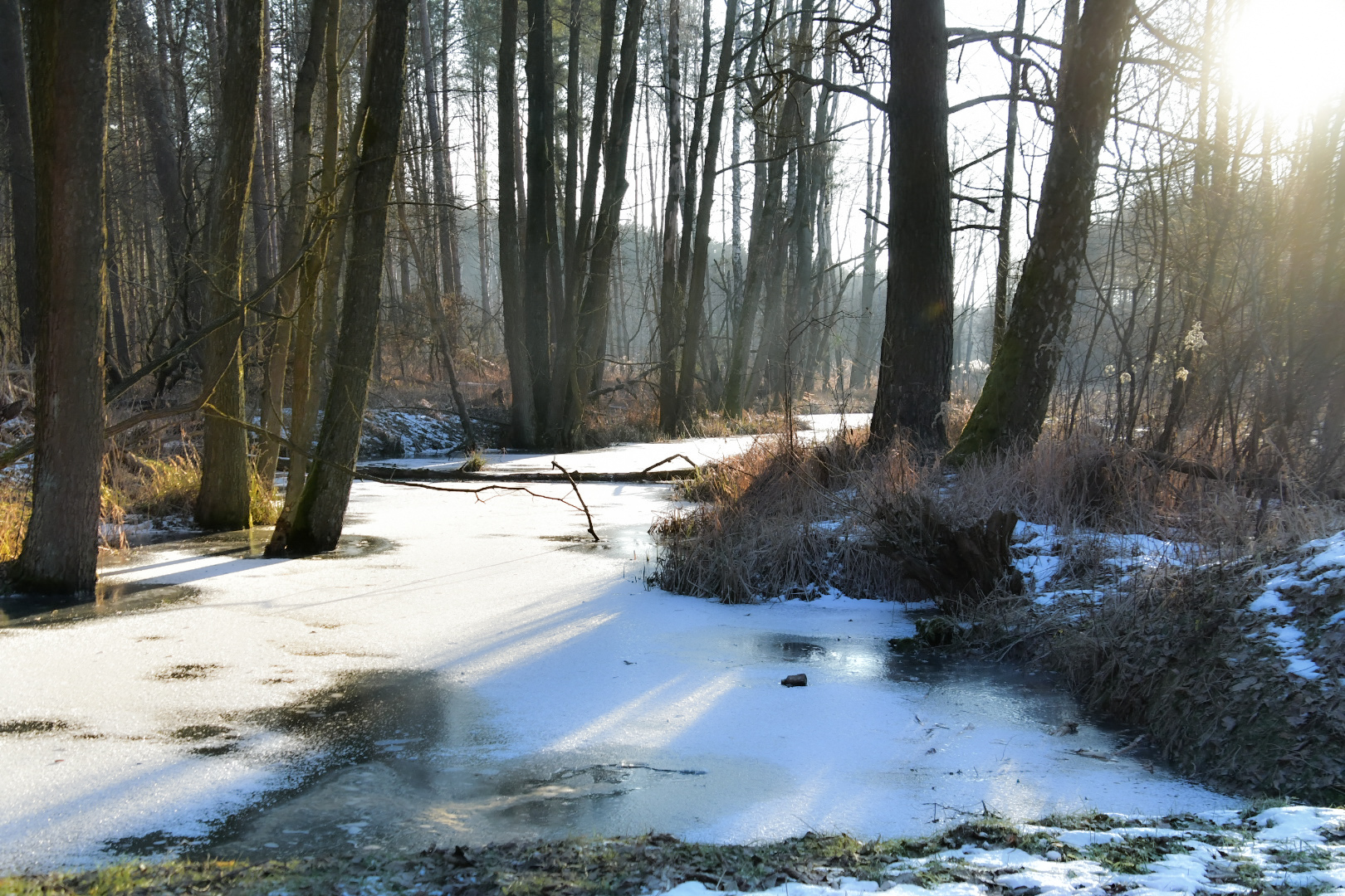 Zima, która przywraca równowagę
